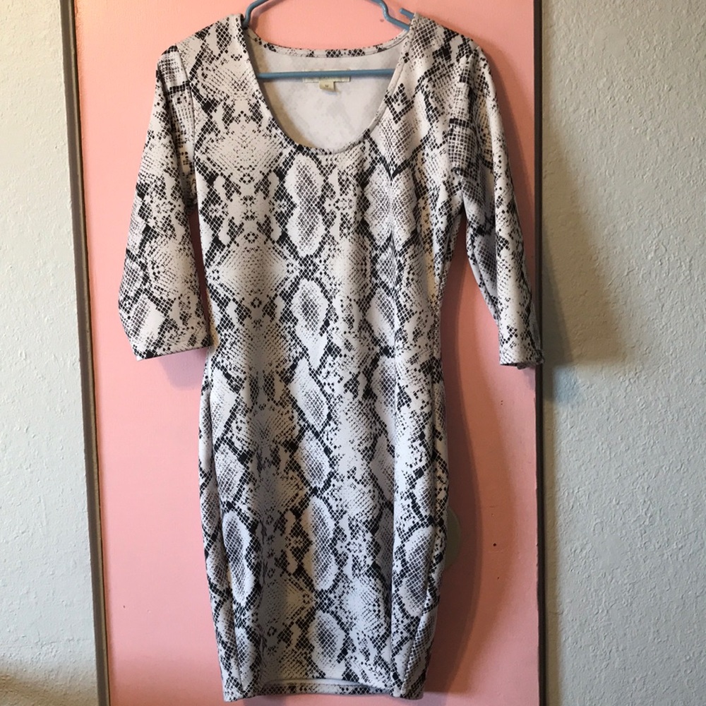 Nicki Minaj Slim Fit Dress